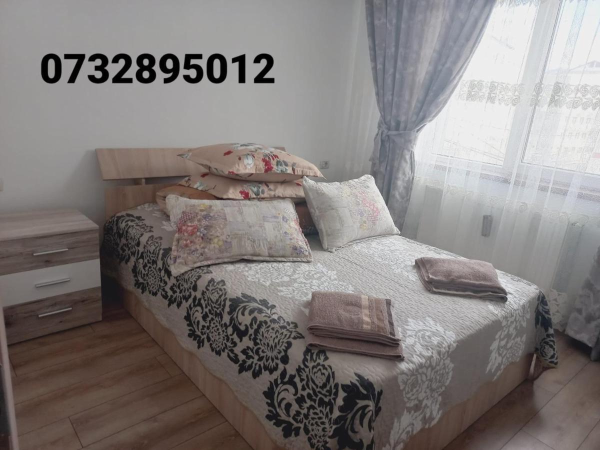 Apartament Bianca Câmpulung Moldovenesc Exterior foto