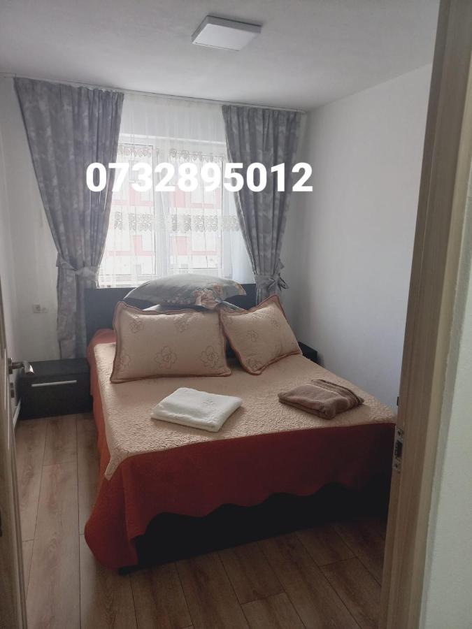 Apartament Bianca Câmpulung Moldovenesc Exterior foto